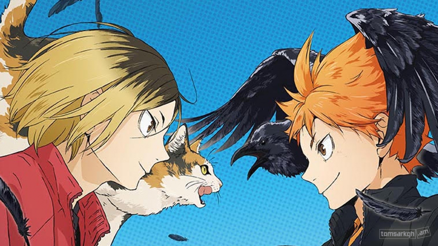 Haikyuu!! Movie: Gomisuteba no Kessen Sub Indo