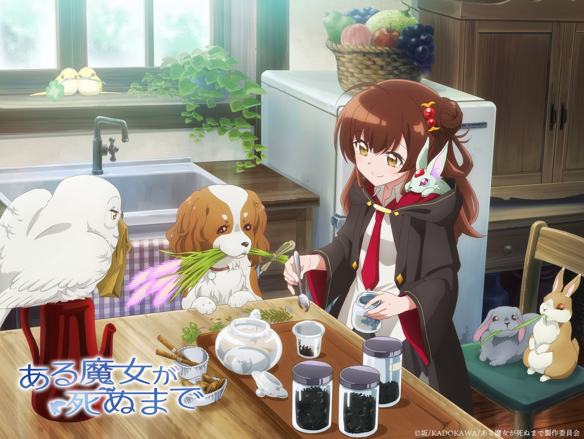 Aru Majo ga Shinu Made Sub Indo : Episode 1 – 12 (End)